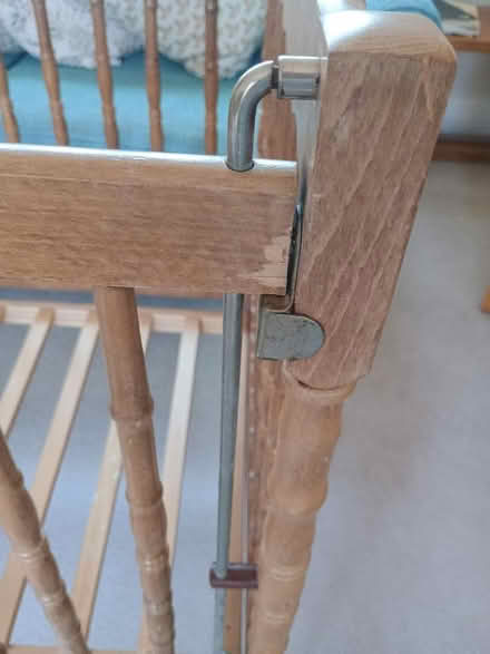 Photo of free Cot (Brentwood CM14) #4