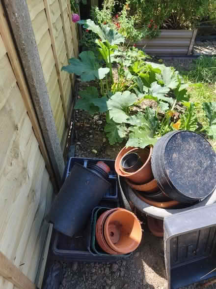Photo of free Plant pots & trays (Presteigne LD8) #1