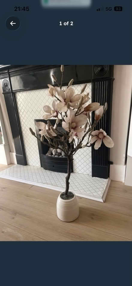 Photo of free Artificial magnolia tree (Bromley North BR1) #1