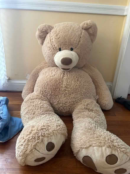 Photo of free Stuffed giant bear (West akron near ken Stewart’s) #1