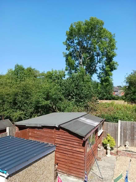 Photo of free Garden shed (Crossgates Ld1 6ra) #2