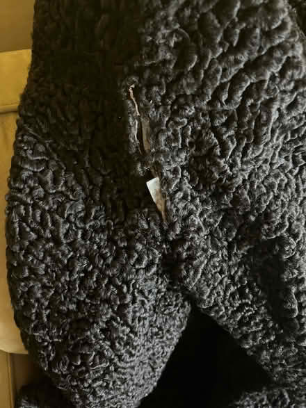 Photo of free Persian lamb coat - damaged (Mt. Pleasant DC) #2