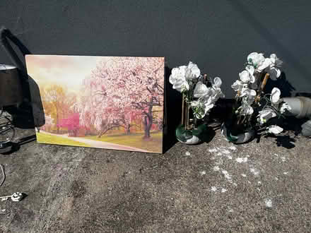 Photo of free house bits (Farranree) #4
