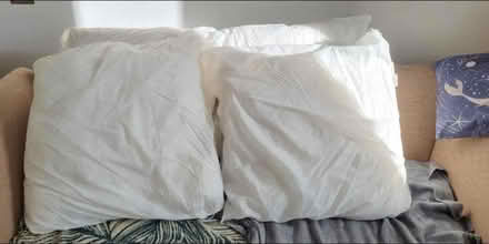 Photo of free 4 x Cushion Inserts 40x40cm (Penrith CA11) #1