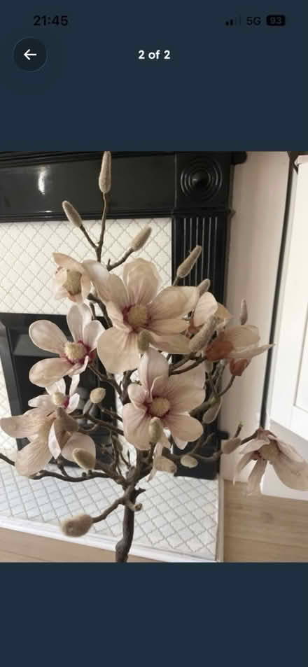 Photo of free Artificial magnolia tree (Bromley North BR1) #2