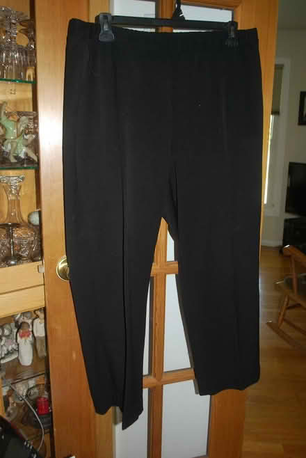 Photo of free Women's black pants, Size 18 (gatineau ave & de bourgogne st) #1