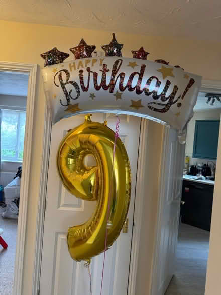 Photo of free 2 x Balloons (Finsbury N4) #2