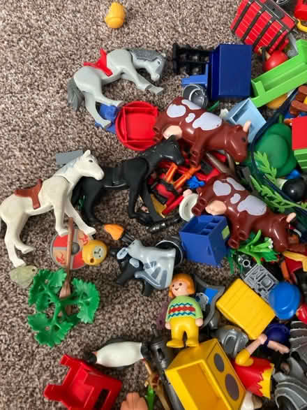 Photo of free Playmobil models and figures (Nether Edge S7) #3