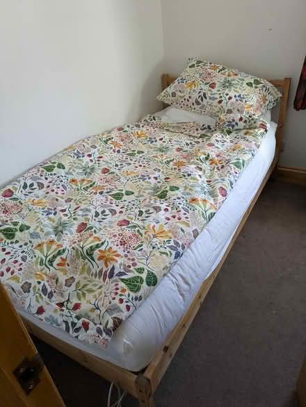 Photo of free Single bed (Northfields W5) #1