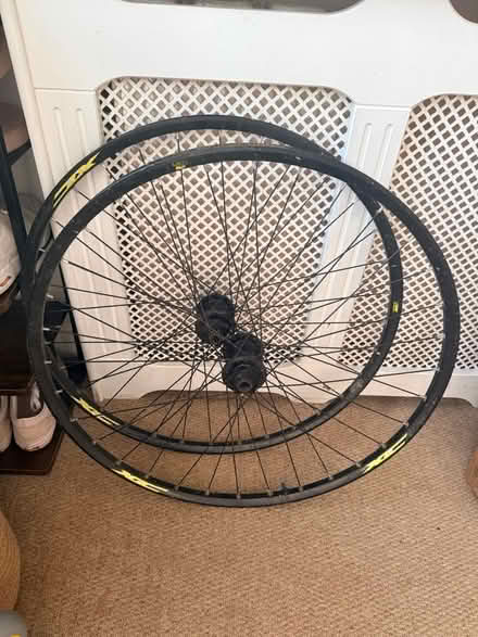 Photo of free Bicycle rims x2 (EN2) #1