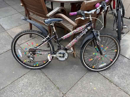 Photo of free Girl bike (Dublin4) #1
