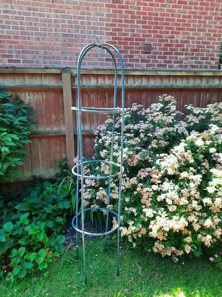 Photo of free Climbing plant structure (Northcourt OX14) #1