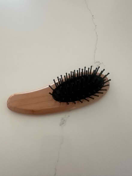 Photo of free Small Brush (Cumnor OX2) #1