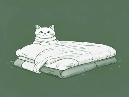 Photo of Blankets and Towels for Cat Fostering (Quinton B32) #1