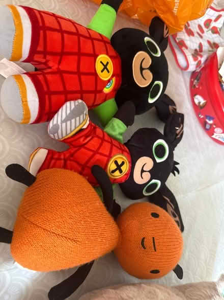 Photo of free Teddys (M12 5rt) #3