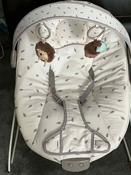 Photo of free Red Kite Cozy Bouncer (Purley CR8) #1