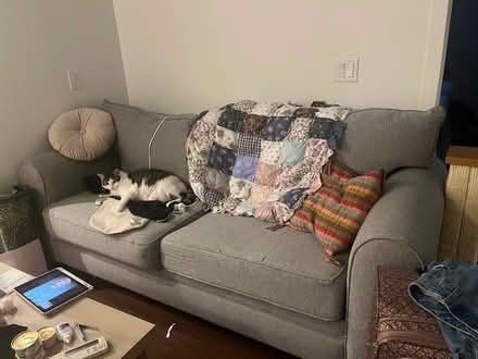 Photo of free gray 82” couch loveseat (downtown newhaven (state/court) #2