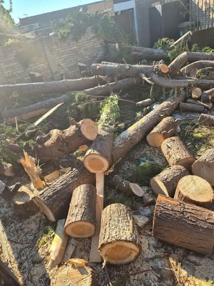 Photo of free Logs (Langley SL2) #2