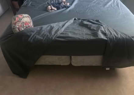 Photo of free Queen bed + frame (West Springfield) #1