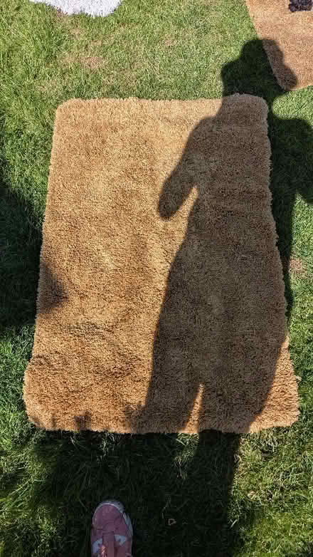 Photo of free Various rugs including dog rugs (Hall i' th' Wood BL2) #3