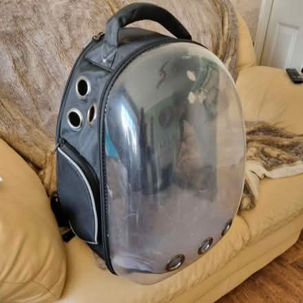 Photo of free Pet Carrier, Backpack (SK7 Hazel grove) #1