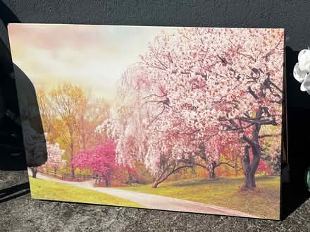 Photo of free Wall canvas picture & buggy (Farranree) #4