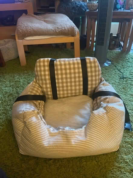 Photo of free Dog car seat (Edinburgh EH16) #1