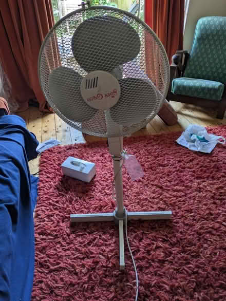 Photo of free Fixed position pedestal fan (Herne Hill /North Dulwich SE24) #1