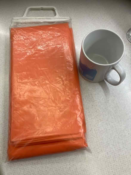 Photo of free Mountain survival bag (OX4 Temple Cowley Oxford) #1