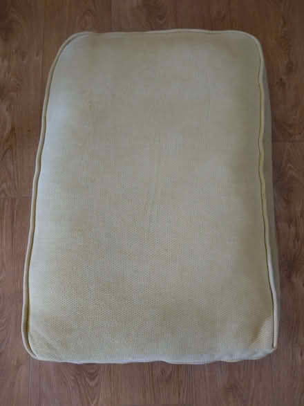 Photo of free Sofa cushion (King's Hedges Ward CB4) #1