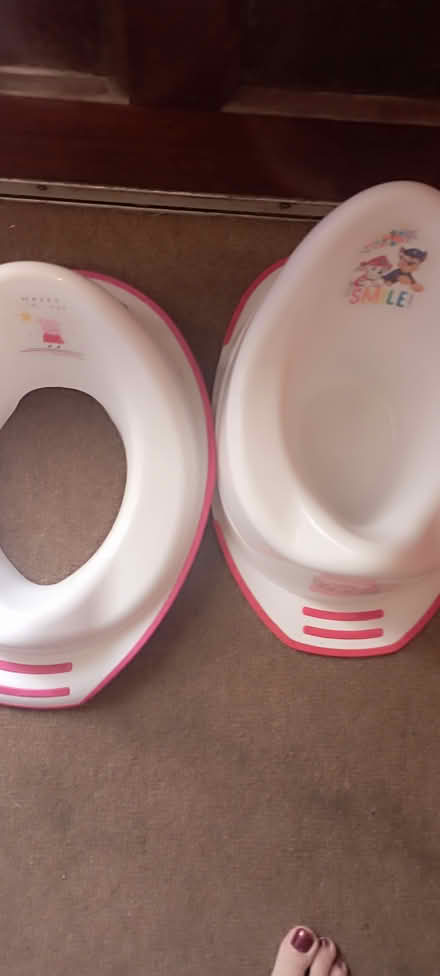 Photo of free Potty and seat (Rathfarnham) #1