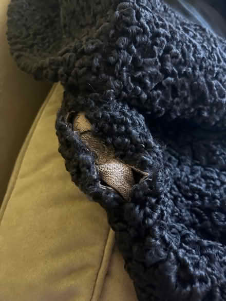 Photo of free Damaged Persian lambs will coat (Mt. Pleasant DC) #2