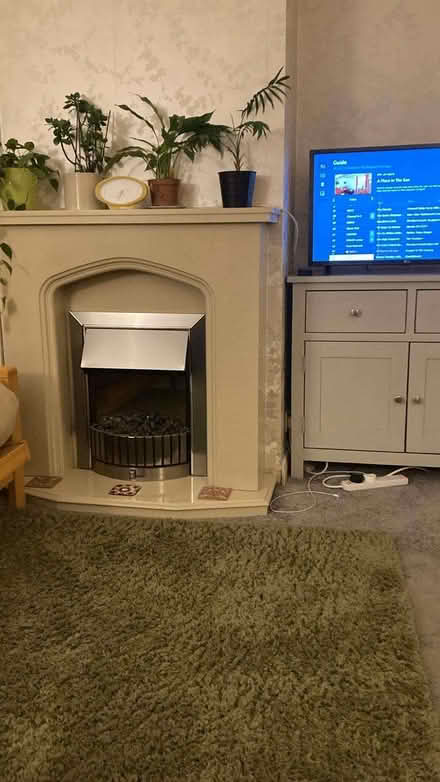 Photo of free Olive Green Dunelm rug 170x120cms (Kings Langley WD4) #1