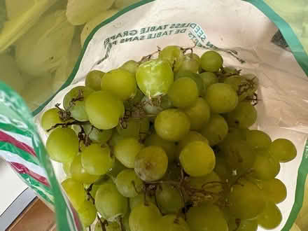 Photo of free Grapes (Harlem) #1