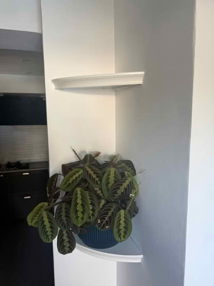 Photo of free 2 corner shelves (New Malden KT3) #1
