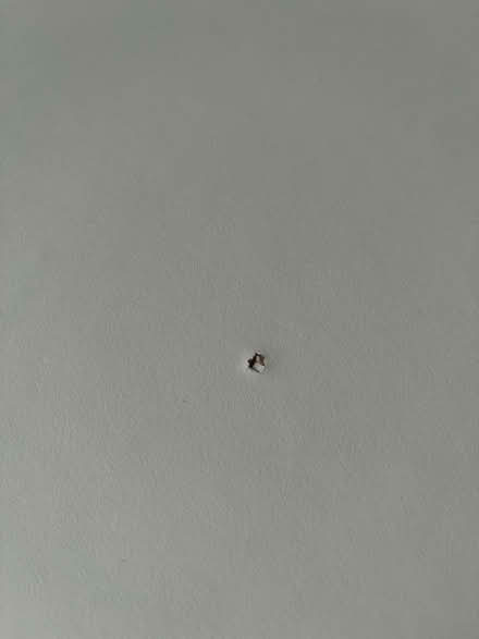 Photo of free Square white table (SO50 5ND) #3
