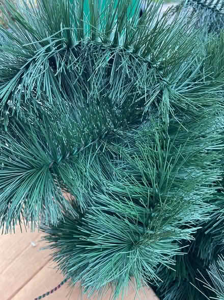 Photo of free Christmas Tree (Park Ridge) #1