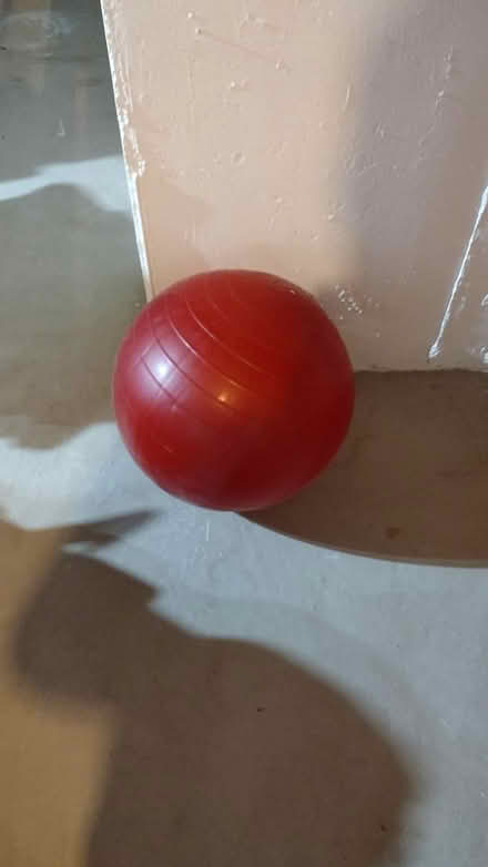 Photo of free Balance Ball (Springfield 19064) #1