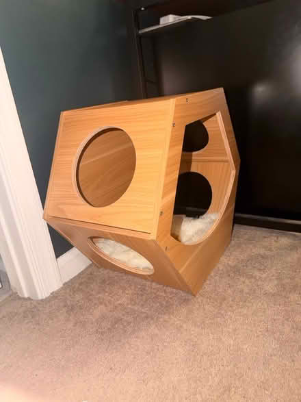 Photo of free Hexagon wall bed for cat (Dumfries) #2