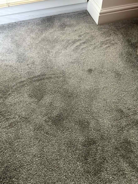 Photo of free Unused carpet off-cut (S5 Hatfield/Bellhouse) #3