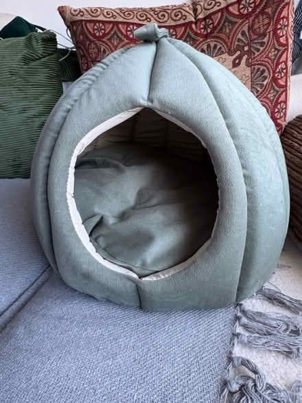Photo of free Cat Igloo (Cramlington NE23) #1