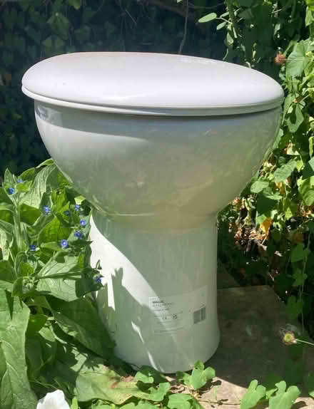 Photo of free Toilet (Sutton SM2) #1