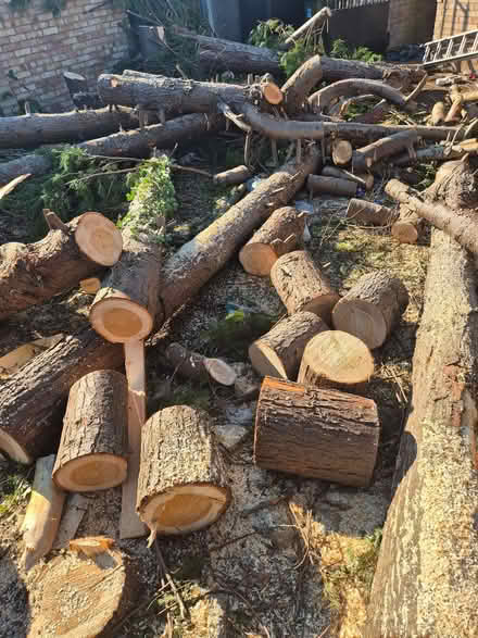 Photo of free Logs (Langley SL2) #1