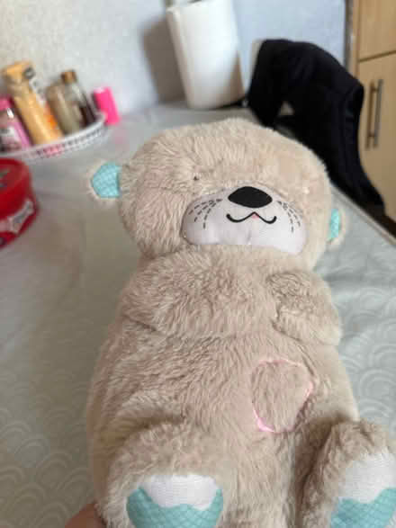 Photo of free Teddys (M12 5rt) #2