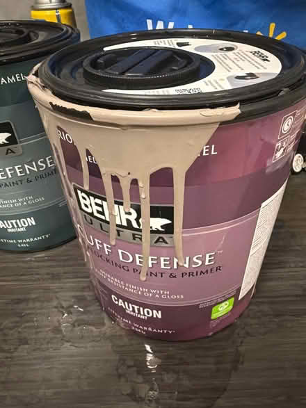 Photo of free Paint 1 full can & 1/2 can (M1l1v7) #2