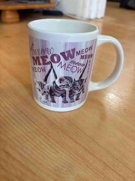 Photo of free Cat activity biscuits container, cat cone,litter tray liners (West Norwood SE27) #4