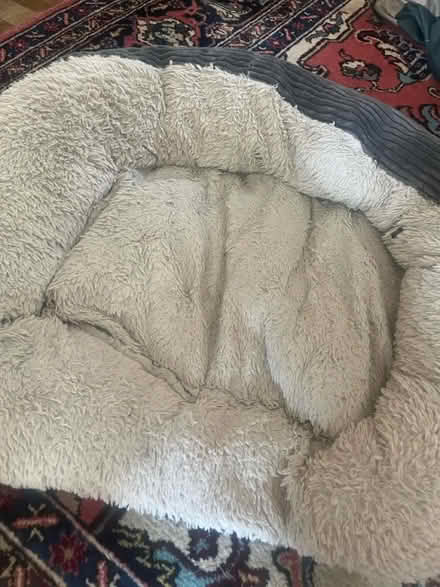 Photo of free Dog bed (Levenshulme M19) #2