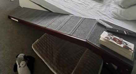 Photo of free Dog ramp (SK7 Hazel grove) #1