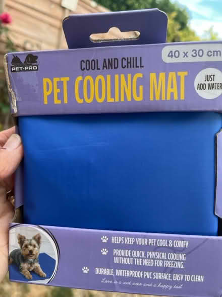 Photo of free Pet cooling mat (small) (Littlehampton, BN17) #3