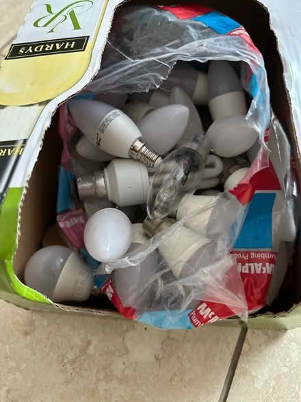 Photo of free Bag of bulbs pr8 2hx (Southport PR8) #1